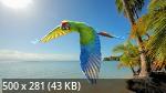 Best Mixture Wallpapers Collection 113