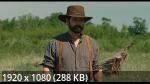 ��������� ����� � ������� (1 �����/2026/WEB-DL/1080p)