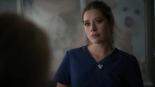 ���� ���������� / Sick Puppy (2025/WEB-DL/WEB-DLRip)